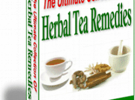 Herbal Tea's